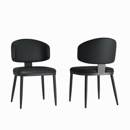 Modern Design Dining Chairs (Set of 2) - Black