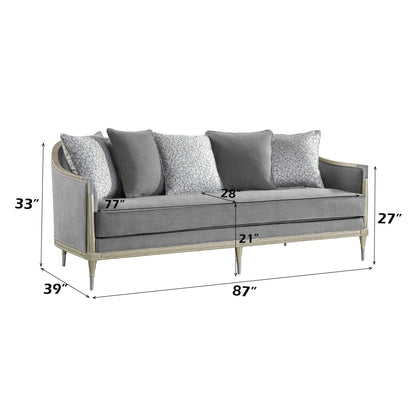 Fernando - Sofa With 5 Pillows - Champagne / Gray