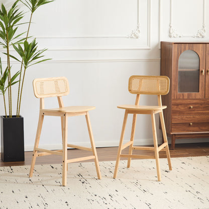 Bari - Indoor Wood Barstool (Set of 2)