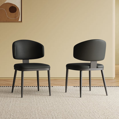 Modern Design Dining Chairs (Set of 2) - Black