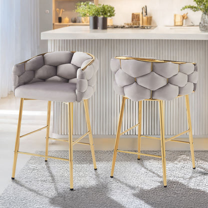 Modern Counter Stools (Set of 2)