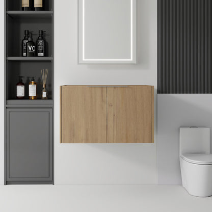 Floating Bathroom Vanity Cabinet With Soft Close Double Doors, Spacious Interior Storage, Wall Mounted, Cabinet Only