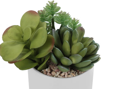 7" Tall, Artificial Plant, Succulent, Indoor, Faux, Fake, Table, Greenery, Potted, Decorative (Set of 2) - Green / White