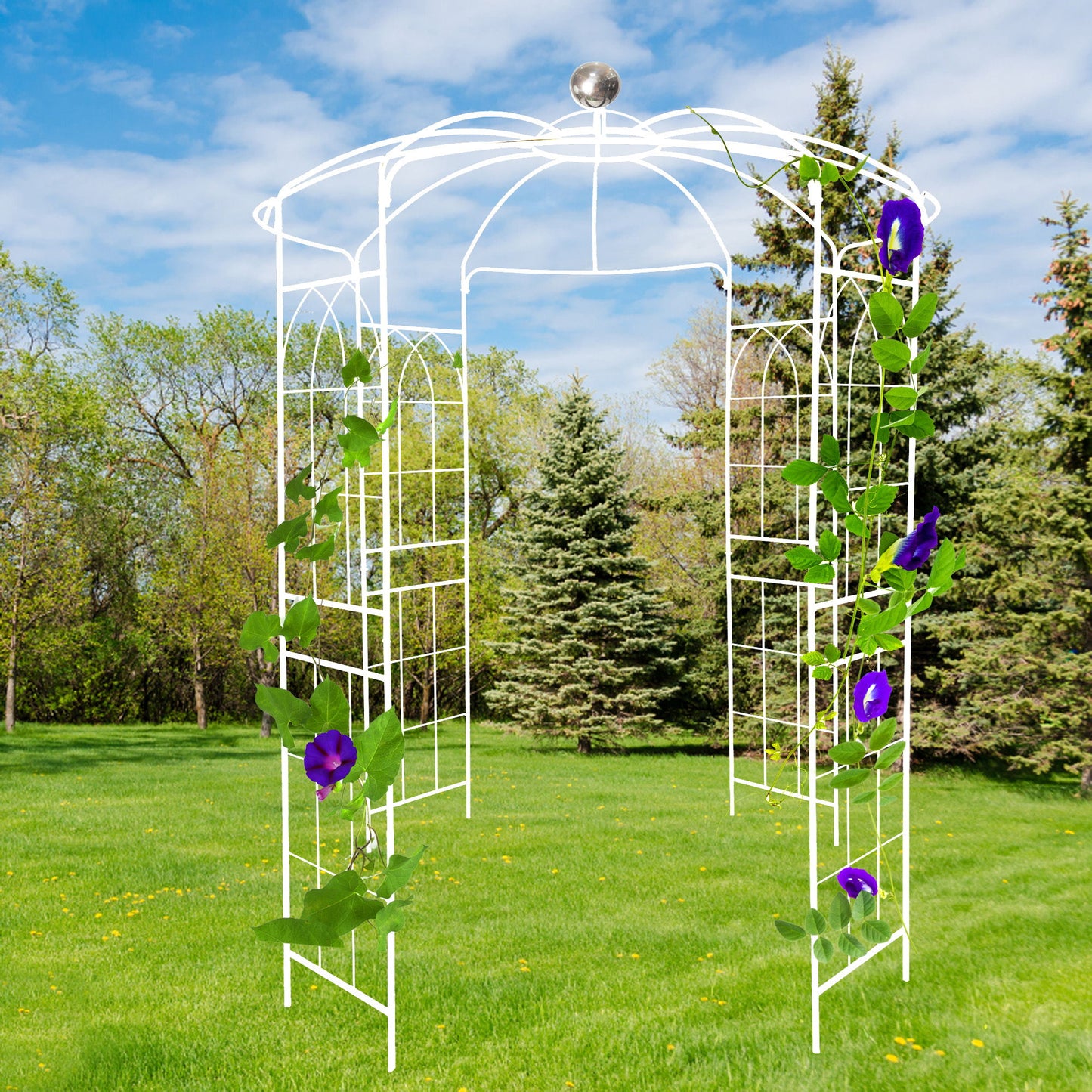 Metal Garden Arch Iron Garden Arbors Gazebo Dia High Birdcage Shape Pergola Pavilion For Wedding Ceremony