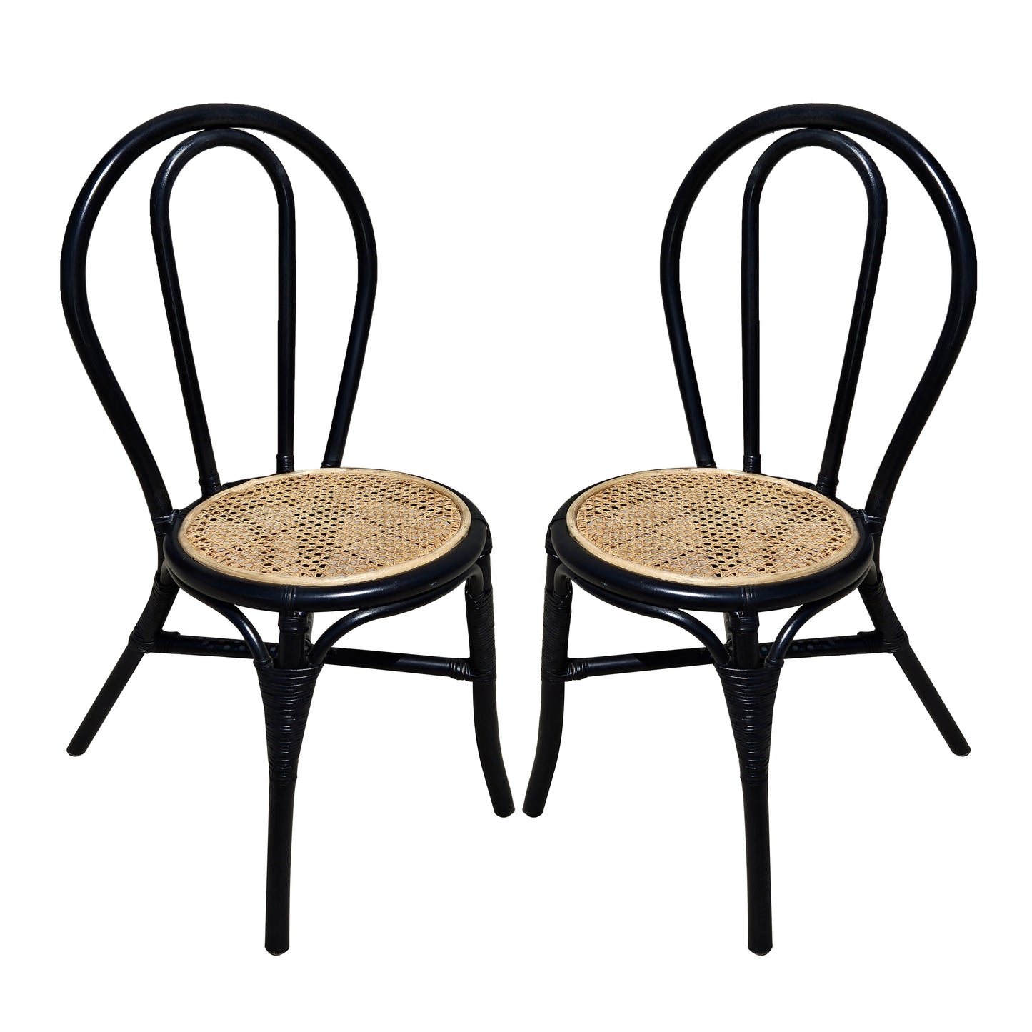 Rattan Dining Chair (Set of 2) - Black Multi