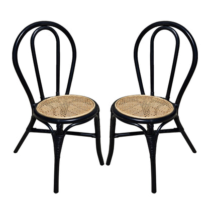 Rattan Dining Chair (Set of 2) - Black Multi