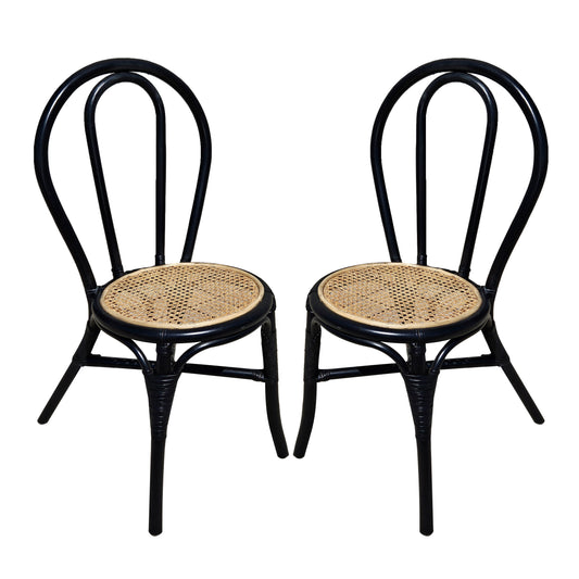 Rattan Dining Chair (Set of 2) - Black Multi