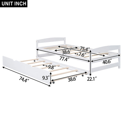 Platform Bed With Trundle