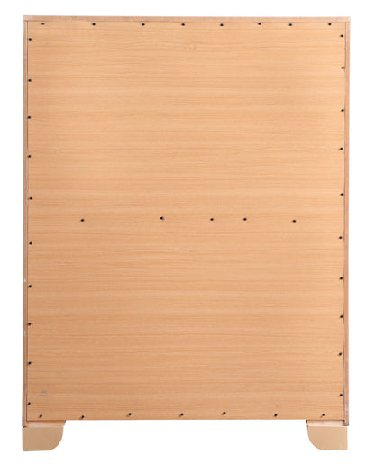 Sleek Contemporary Storage Chest